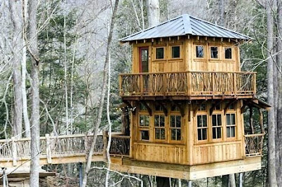 Some more crazy, cool and very unusual treehouses.... Japtreehouse