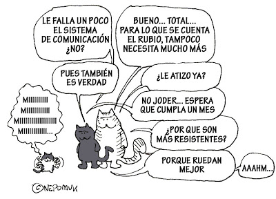 GATICOS - Página 5 Gatos_PEYO