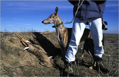 *(2010) Julio Ortega siembra el desasosiego entre los cazadores-Muy bueno AA-caza-8