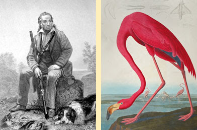 && صور لعالم الطيور جون جيمس && John-James-Audubon%27s-Birds-of-America-1