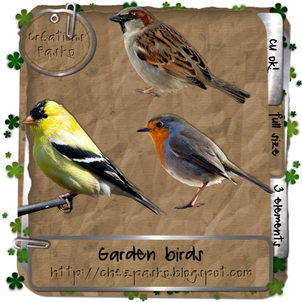 Bird Cage (Aussie Scrap Designs) Pasko_garden_birds_preview