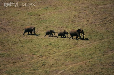 Africa - Amazing Aerial Photos 200352326-001