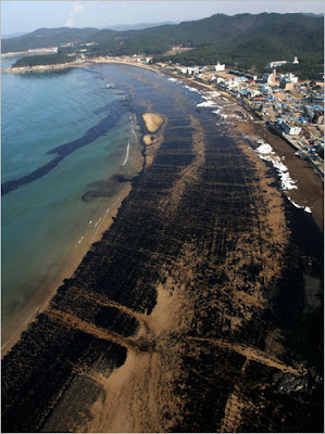 Oil Ship Break In South Korea (2008) - Rare Photographs NYtimes-734136