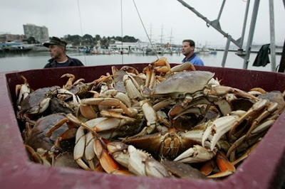 இப்படியும் கஷ்டப்பட்டு மீன் பிடிக்கிரார்கள் Crab-fishing