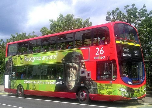 மிருகங்களை ஞபகப்படுத்தும் பேருந்துகள் Zoo%2BBuses%2B%286%29.