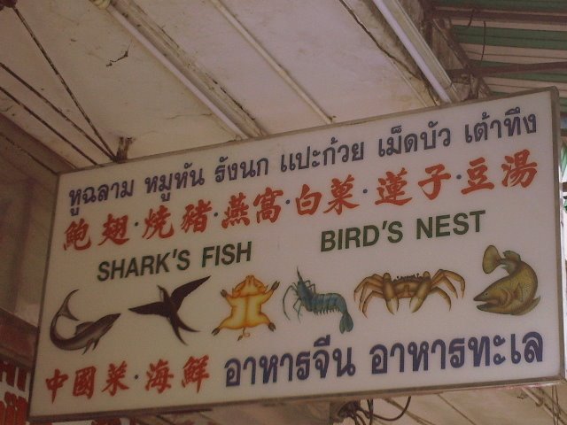 funny signboard T.PHOT0038-1