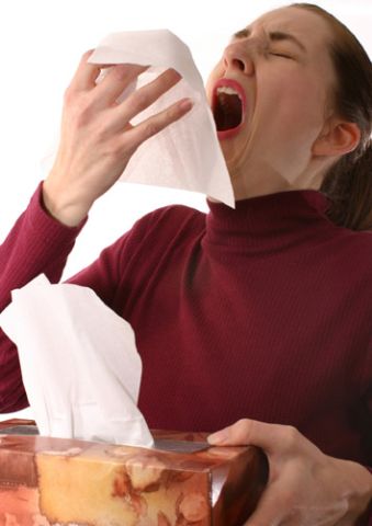 اختار عضو تشرب معه قهوه.. - صفحة 9 Allergy-Season1