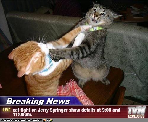 Saw this floating around on FB, thought it was funny... Cat_fight