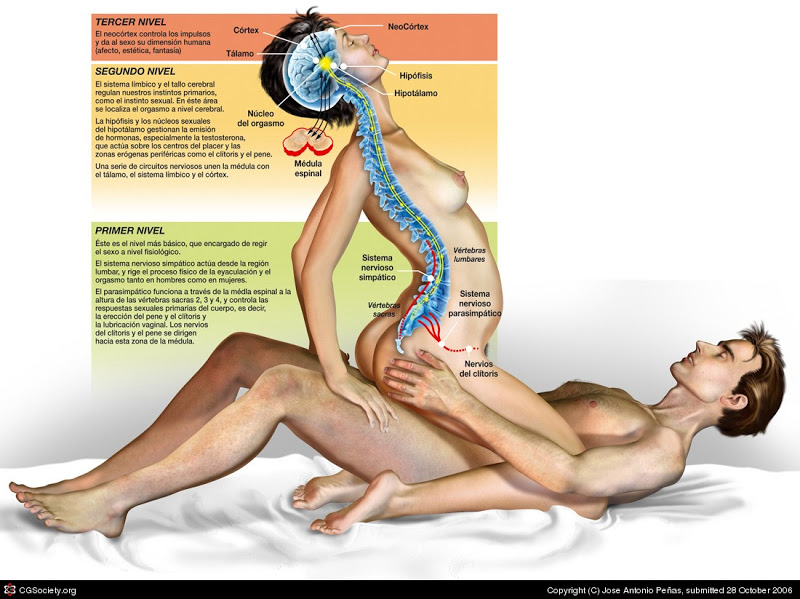 La energía sexual es la energía creativa que mueve la vida Orgasmo