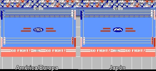 Pro Wrestling ( primer juego de wrestling) Arenas