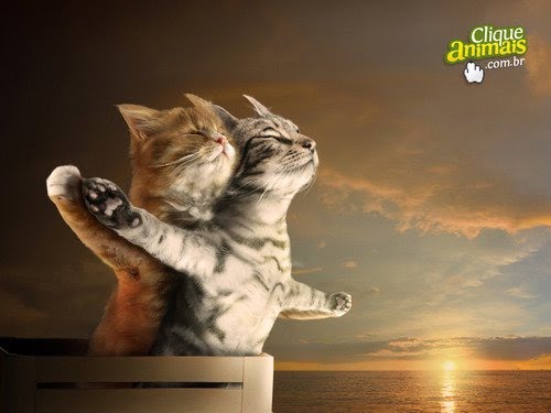 bằng - gửi tất cả các bạn A4 nha   ^^ Titanic-Cat