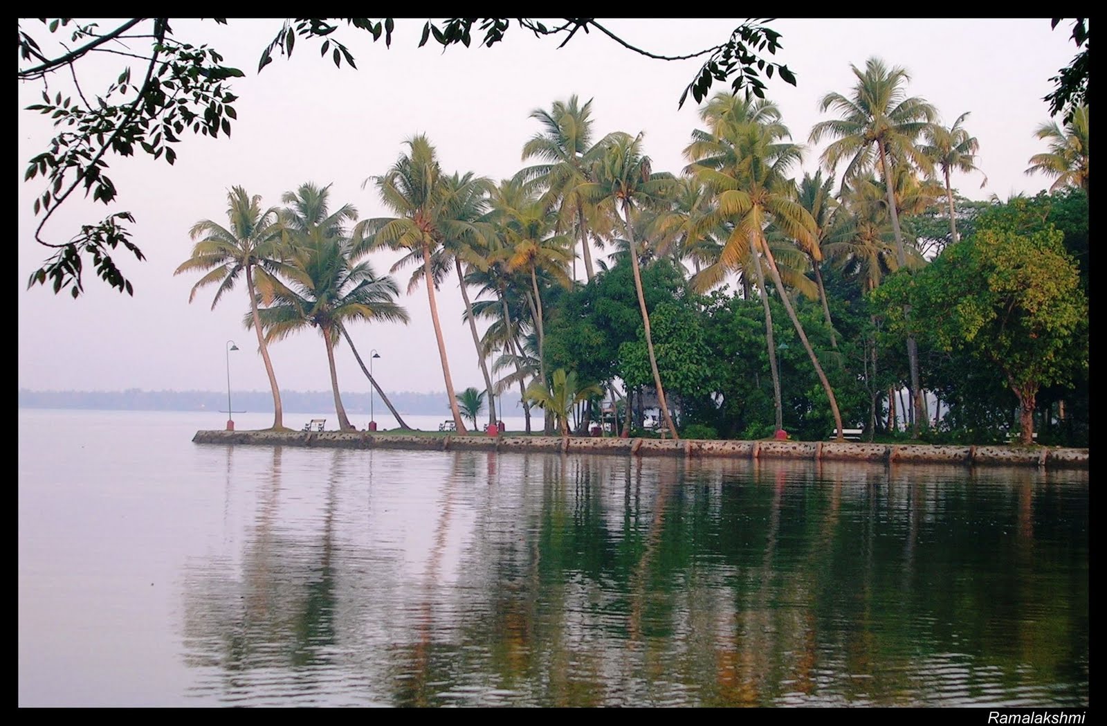 இயற்க்கை அழகுகள். Coco