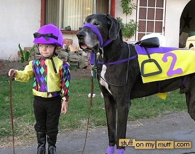 idee carnevale Jockeydog-kid