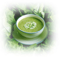 கோஸ் சூப் Cabbage-soup1