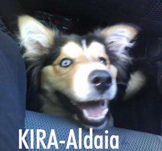 Kira, perdida en Aldaya Kira_007-752173