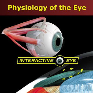 فلم : فيزيولوجيا العين Physiology of the Eye 41QNXC7D6KL