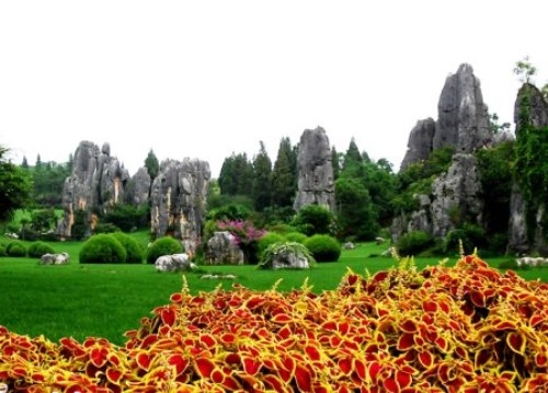  Каменните паметници  China-top-attractions-Stone-Forest