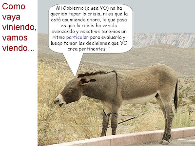 EXPLICACION  SENCILLA  DE  “CRISIS” Burro