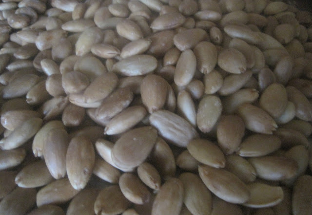 Almond Ghoriba or Ghriba or Ghriyba!/Ghoriba ou Ghriyba ou Ghriba Aux Amandes! C1