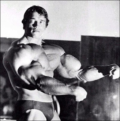 .........ARNOLD Arnold-schwarzenegger-big_muscle