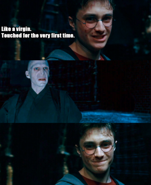 Harry Potter LMAO pictures - Σελίδα 4 Tumblr_l79hi6L9Hh1qd5omno1_500