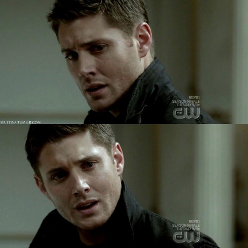 JENSEN ACKLES (négociable) ♣ free. Tumblr_l80napXVuC1qzl9k5o1_500