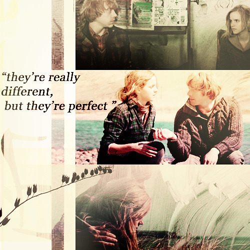 Fan Club de Ron & Hermione - Page 31 Tumblr_ljumu4flin1qbgz9vo1_500