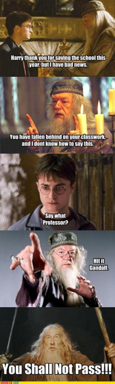 Harry Potter LMAO pictures - Σελίδα 4 Tumblr_lkne5dfCIw1qf0vbno1_500