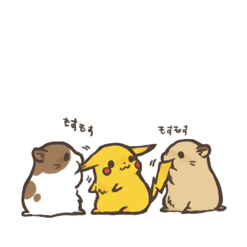 hamster mania ^.^ Tumblr_lnk6ywkmQ21ql9d92o1_500