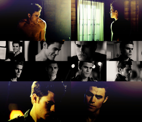 Stefan Salvatore ▬ Le come back.  Tumblr_lntyr0cqr51qbbne5o1_500