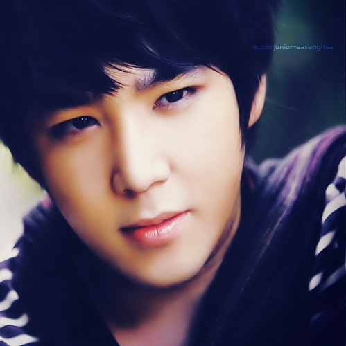 Kangin [강인] - Page 4 Tumblr_loxf58uvpD1qh791po1_500