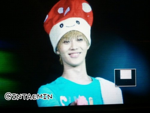 110910 SHINee @ SHINee World Concert en Singapur Tumblr_lrb81cGGGq1qff7woo1_500