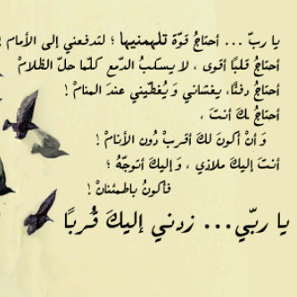 ◙█ ξـــآلمي الخـآاص آلذي لم » آجد لـﮧ » ξـــنوآטּ █◙ ‏ - صفحة 2 Tumblr_lrdydd3uzz1qldnvuo1_400