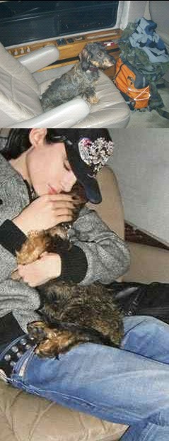 Bill com sua cachorrinha  Tumblr_lwnamuge0G1qa2bjxo1_500