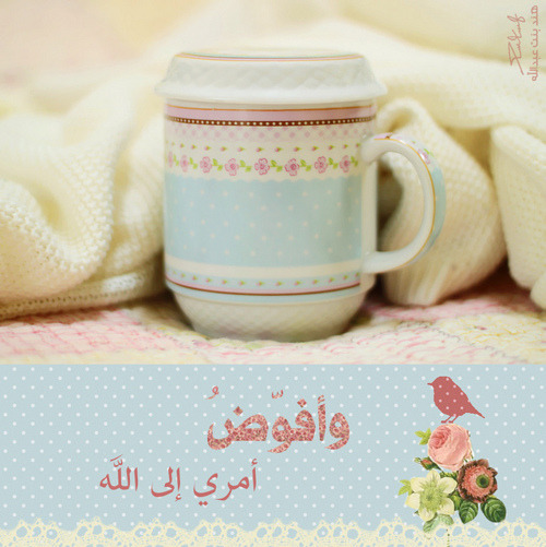 أنفآسْ ـالمَطرْ ~  - صفحة 3 Tumblr_lzuib7bGey1rn8cnmo1_500