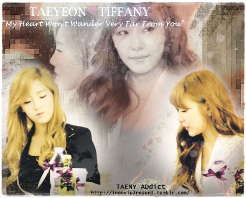 [PIC+VID+GIF][20/1/2012]∴♥∴ TaeNy ∴♥∴ Happy's Heaven ∴♥∴ Twinkle - Taeny Lấp Lánh - TaeTiSeo  ∴♥∴ - Page 28 Tumblr_m0vu06TIpv1qmce9yo1_500