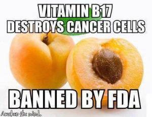 Vitamin B17: The Greatest Cover-Up In The History Of Cancer 1480402934