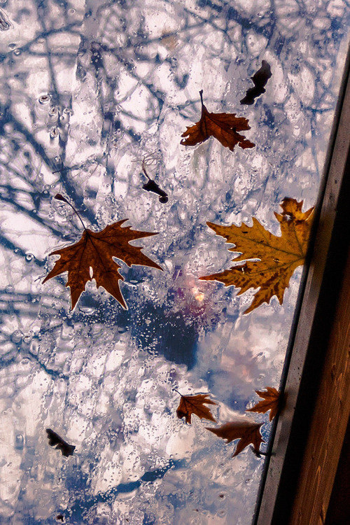 EL OTOÑO SE ACERCA CON MUY POCO RUIDO...* - Página 22 Tumblr_ndssz7gbMc1s13wj2o1_500