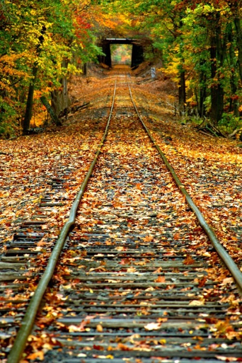 EL OTOÑO SE ACERCA CON MUY POCO RUIDO...* - Página 15 Tumblr_ndne2bbVCh1s36cnmo1_500