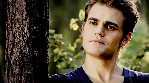 Stefan Salvatore ϟ the last dance Tumblr_ls0pb6ohdC1qecb2lo1_500