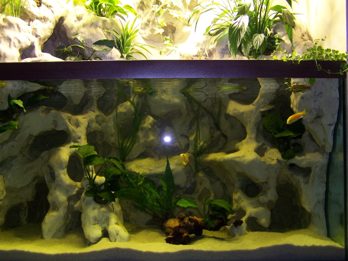 aquaterrarium (34ced) Aqua