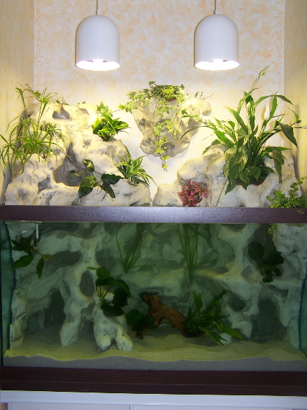 aquaterrarium (34ced) Aqua2