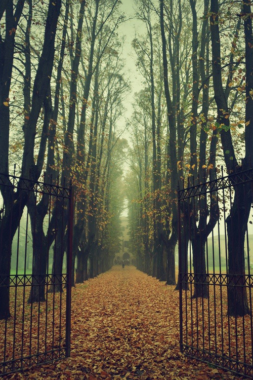 EL OTOÑO SE ACERCA CON MUY POCO RUIDO...* - Página 30 Tumblr_ng11po8yMn1rub0hvo1_500