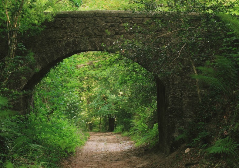 Pics of places that look like places from the films, or are just nice. [2] - Page 35 Tumblr_nehqisclh31svrh8zo1_1280