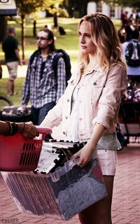 Candice Accola Tumblr_n6gk5t0gD71tcmfsgo8_250