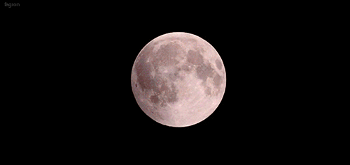  Aprende de la luna que nunca se encuentra sola ~ Privado.  Tumblr_n43ppx04h81rpm140o1_500