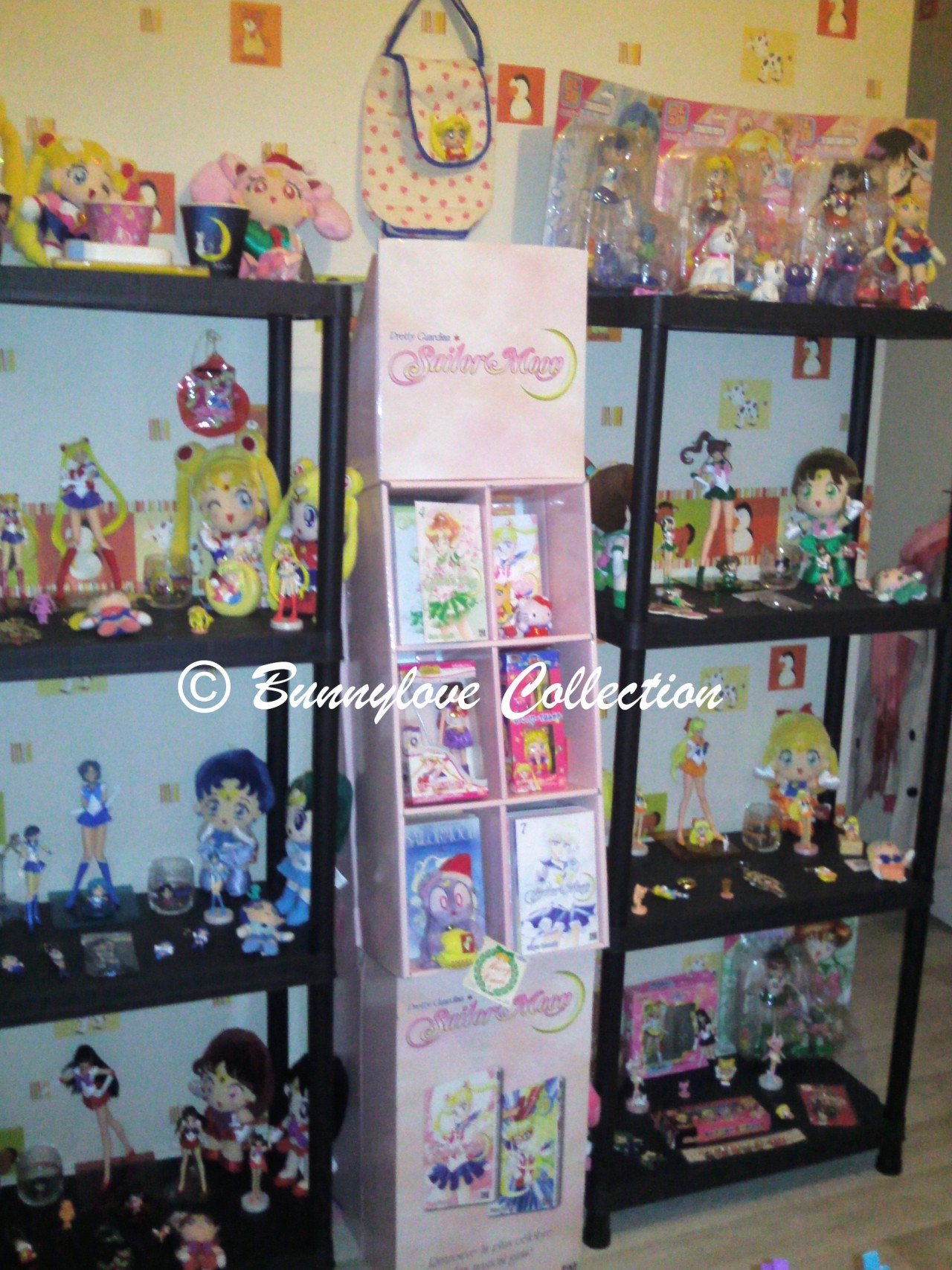 Ma collection Sailor Moon - Page 2 Tumblr_n1czzmEsGf1qia2cjo6_1280
