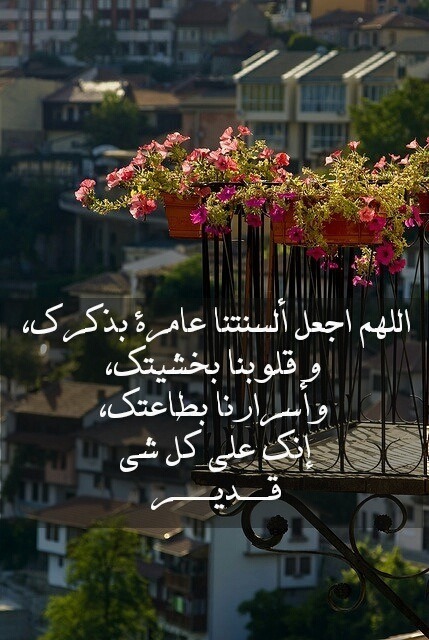 عايز افضفض  - صفحة 9 Tumblr_mu38dkOXq51sco75bo1_500