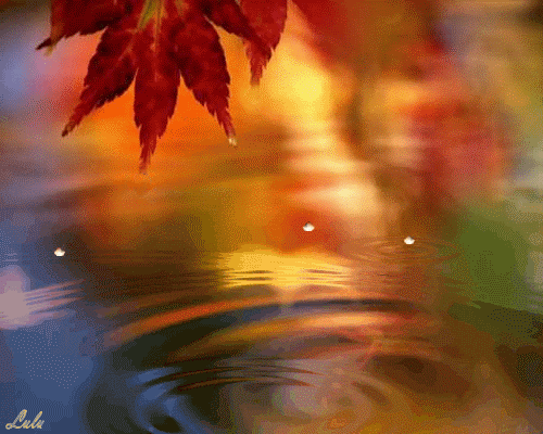 Empieza el otoño. - Página 2 Tumblr_mlet1nRQBE1s6rlt8o1_500