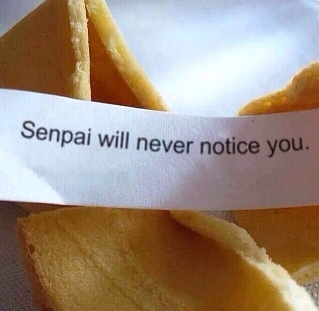 Senpai notice me~!!!!! - Page 4 Tumblr_n5wio7gNz01s63v5ro1_1280